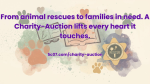 charity-auction magic